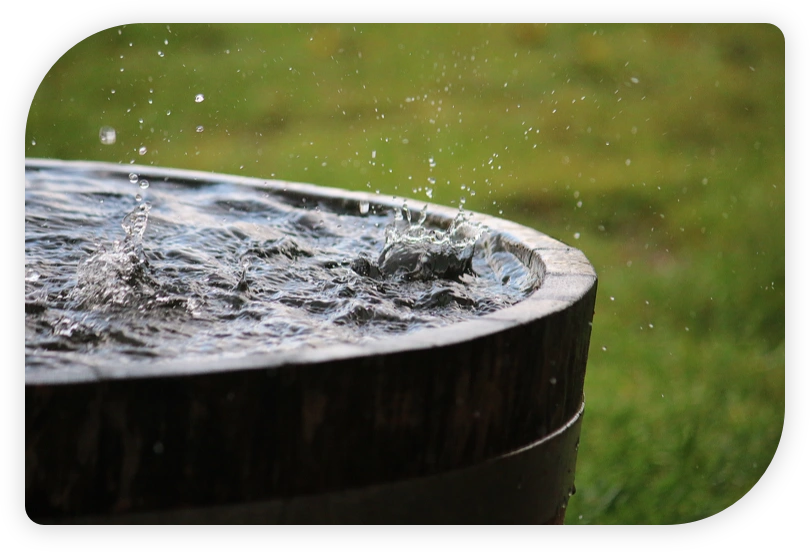 rain water harvesting